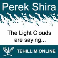 Perek Shira : The Light Clouds are saying
