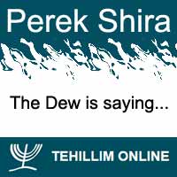 Perek Shira : The Dew is saying