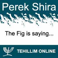 Perek Shira : The Fig is saying
