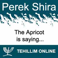 Perek Shira : The Apricot is saying