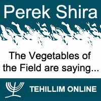 Perek Shira : The Vegetables of the Field are saying