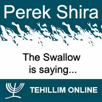 Perek Shira : The Swallow is saying