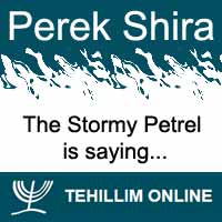 Perek Shira : The Stormy Petrel is saying