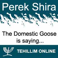 Perek Shira : The Domestic Goose is saying