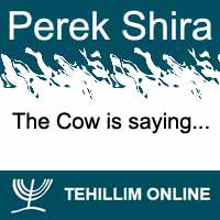 Perek Shira : The Cow is saying