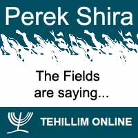 Perek Shira : The Fields are saying: