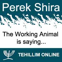 Perek Shira : The Working Animal is saying