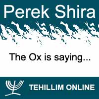 Perek Shira : The Ox is saying