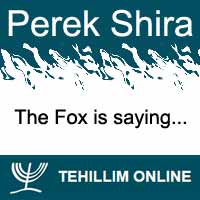 Perek Shira : The Fox is saying