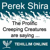 Perek Shira : The Prolific Creeping Creatures are saying